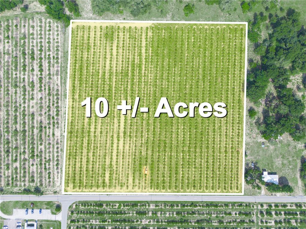 This aerial view shows a rectangular plot of land planted with rows of crops — 0 HOPSON ROAD, FROSTPROOF, FL