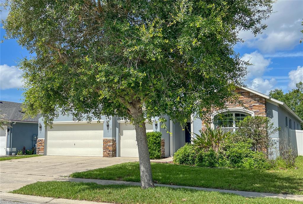 A single-story house with a two-car garage, stone accents, and a large tree in front — 6906 BOULDER RUN LOOP, WESLEY CHAPEL, FL