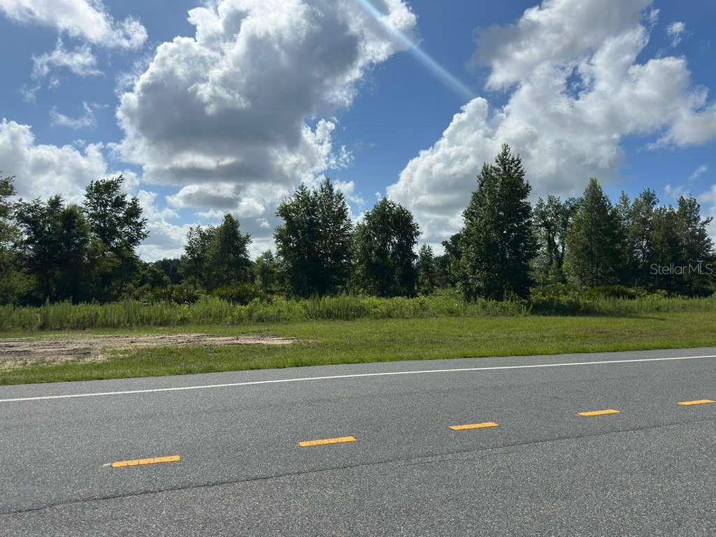A paved road runs in front of a grassy lot with trees under a cloudy sky — TBD MARION OAKS BOULEVARD, OCALA, FL