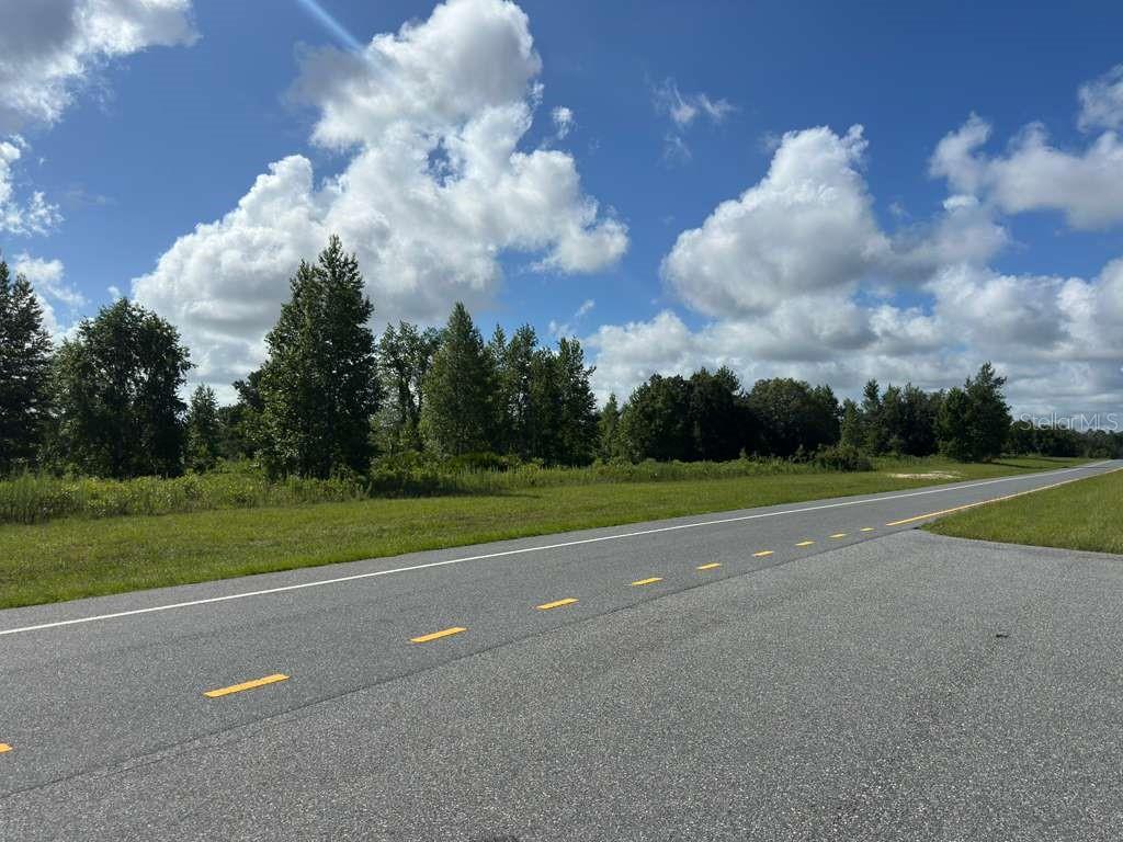 A paved road runs alongside a grassy field with a line of trees under clouds — TBD MARION OAKS BOULEVARD, OCALA, FL