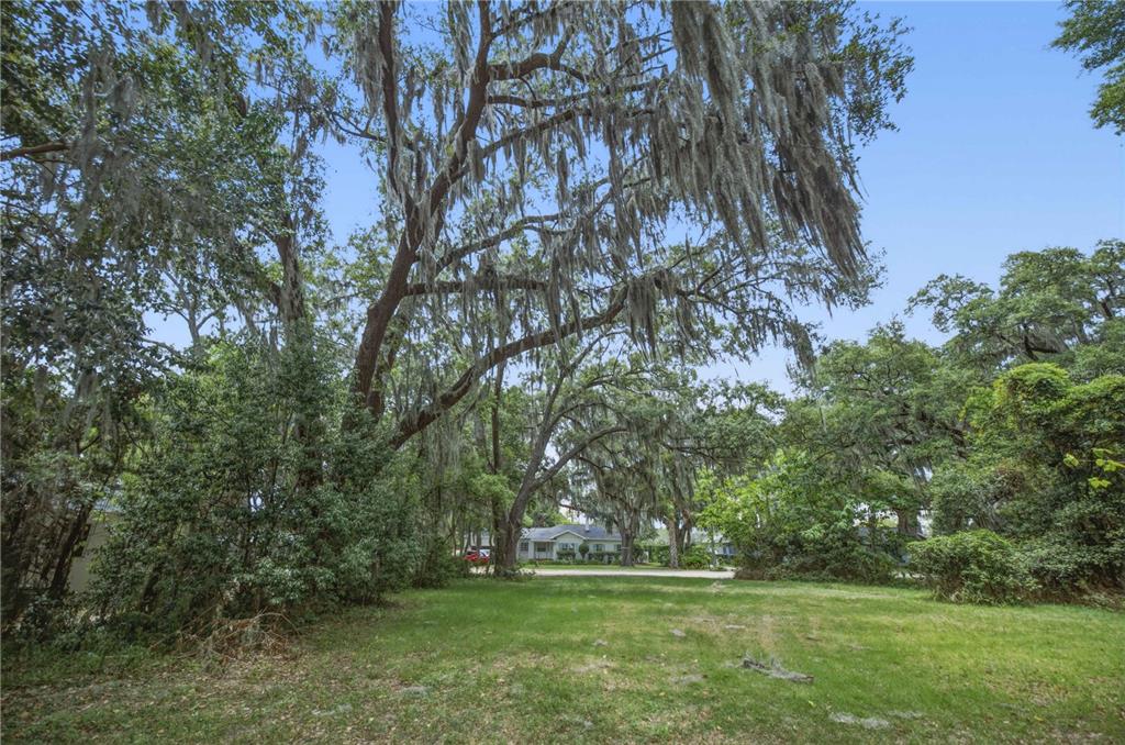 A grassy, tree-filled lot with Spanish moss hanging from large oak trees — 1748 SE 5TH STREET, OCALA, FL
