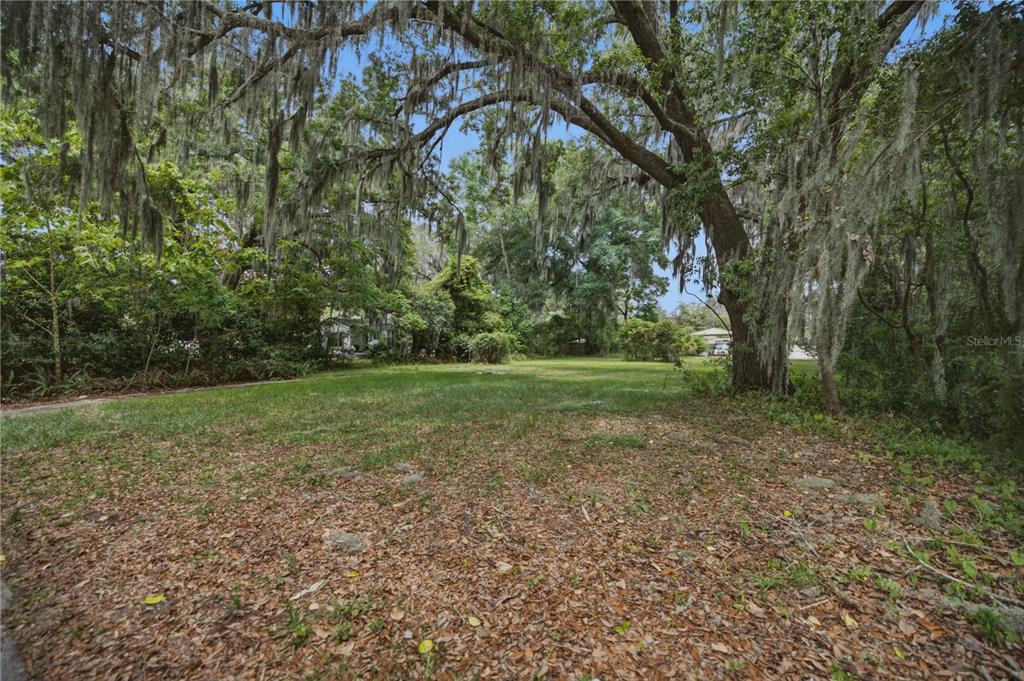 A grassy, tree-lined vacant lot features large oak trees draped with Spanish moss — 1748 SE 5TH STREET, OCALA, FL
