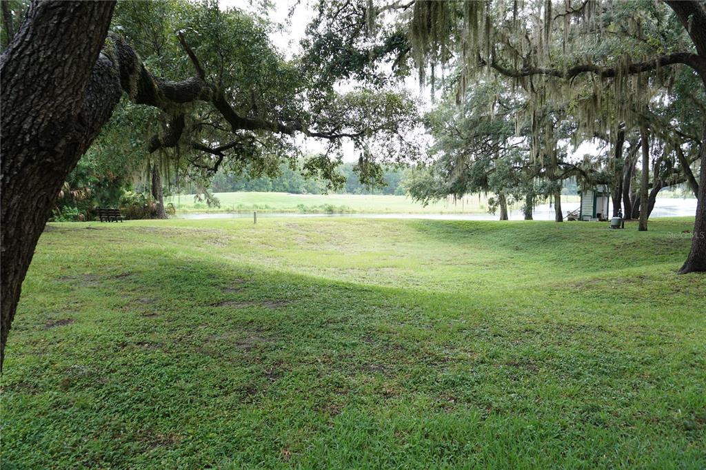 A grassy yard with large oak trees overlooks a pond and a distant field — 7945 MIDWAY DRIVE TERRACE UNIT H201, OCALA, FL