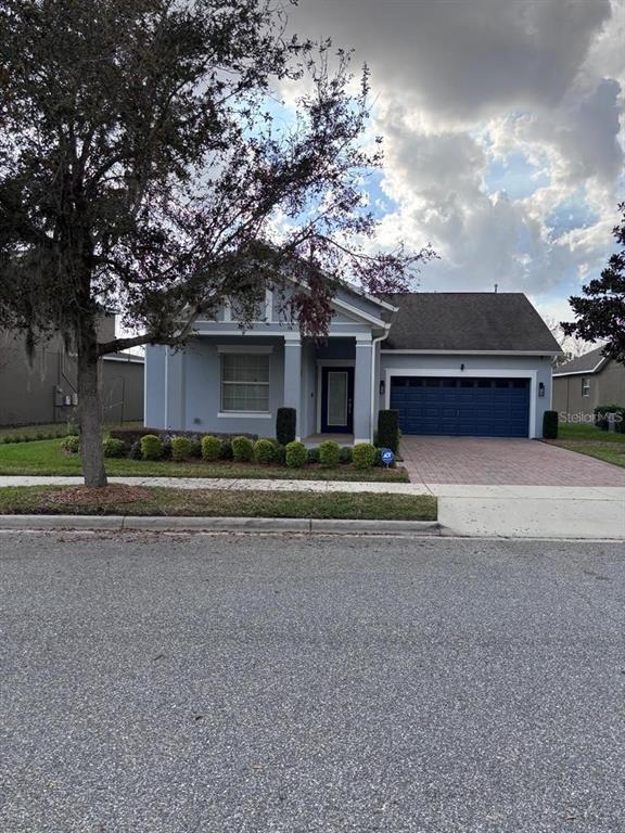 A single-story house with a blue garage door, gray siding, and a paved driveway — 14719 SPEER LAKE DRIVE, WINTER GARDEN, FL
