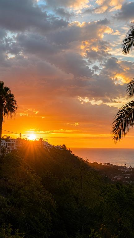 A sunset view over a hillside with houses, palm trees, and the ocean in the distance — CALLE PASCUA URB. MANUEL CORCHADO, ISABELA, PR