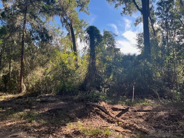 TBD NW 160TH STREET, REDDICK, FL — photo 2 of 4