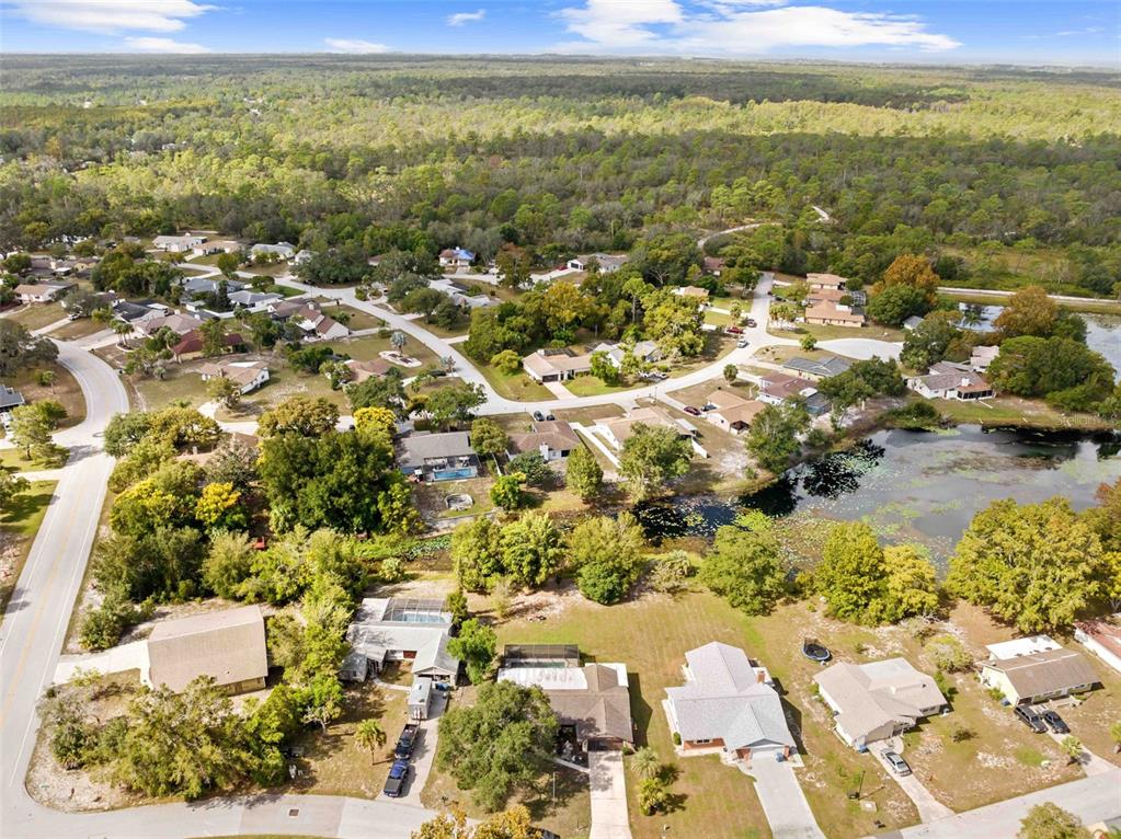 7401 GALLOWAY ROAD, WEEKI WACHEE, FL — photo 3 of 30
