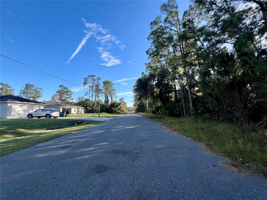 A paved road stretches between a residential house on the left and wooded land — LUMMUS STREET, NORTH PORT, FL
