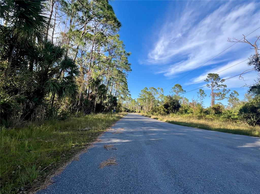A paved road stretches through a wooded area under a clear blue sky — LUMMUS STREET, NORTH PORT, FL