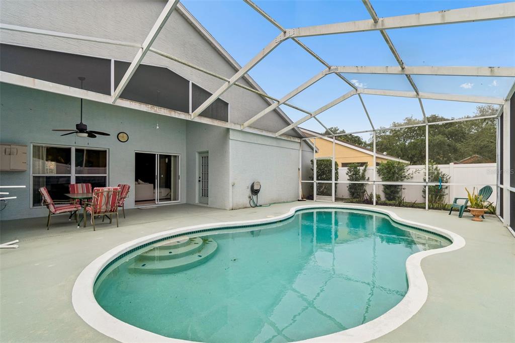 A swimming pool with a screened enclosure sits on a concrete patio behind a house — 923 HUNTER LANE, TARPON SPRINGS, FL