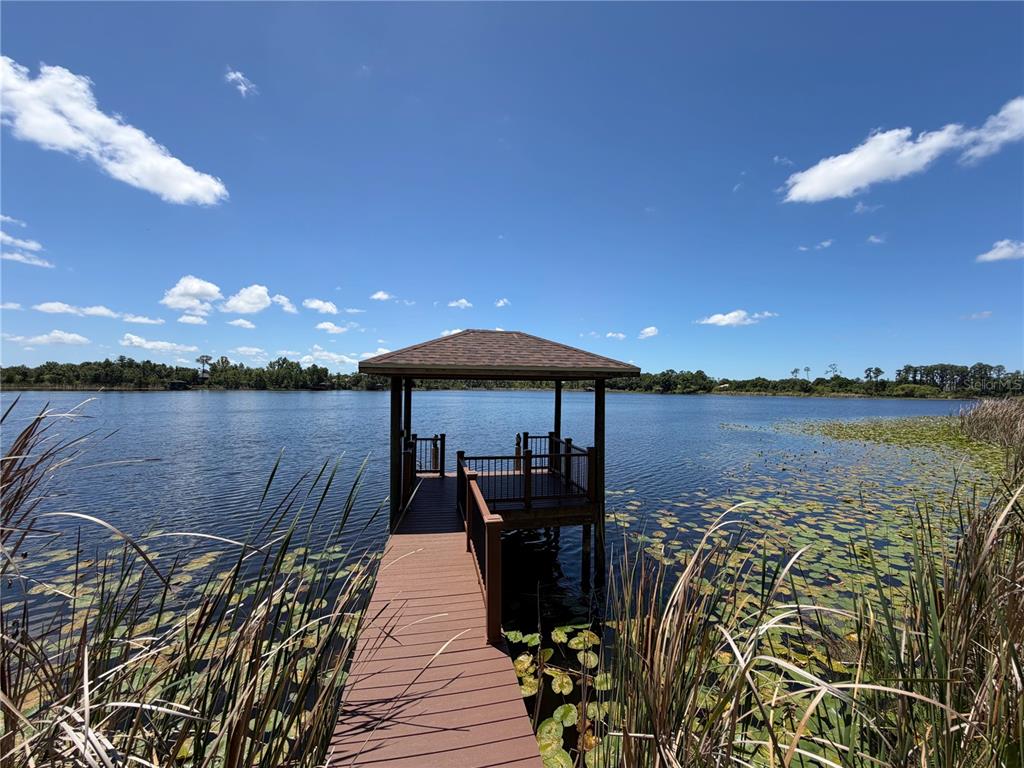 A wooden dock with a covered gazebo extends into a lake filled with lily pads — 21430 DRAYCOTT WAY, LAND O LAKES, FL