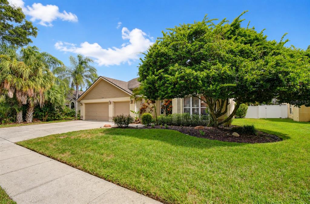 5424 WINDBRUSH DRIVE, TAMPA, FL — photo 5 of 30