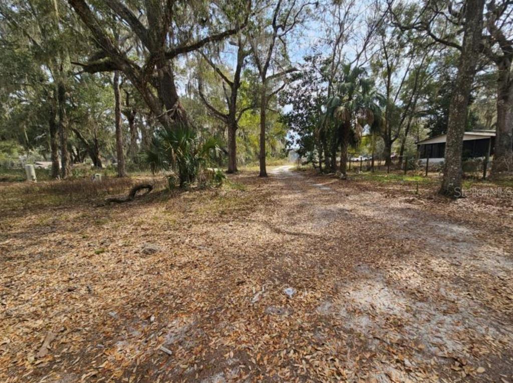 A dirt path leads through a wooded lot covered in fallen leaves toward a house — 4210 NE 175TH STREET ROAD, CITRA, FL