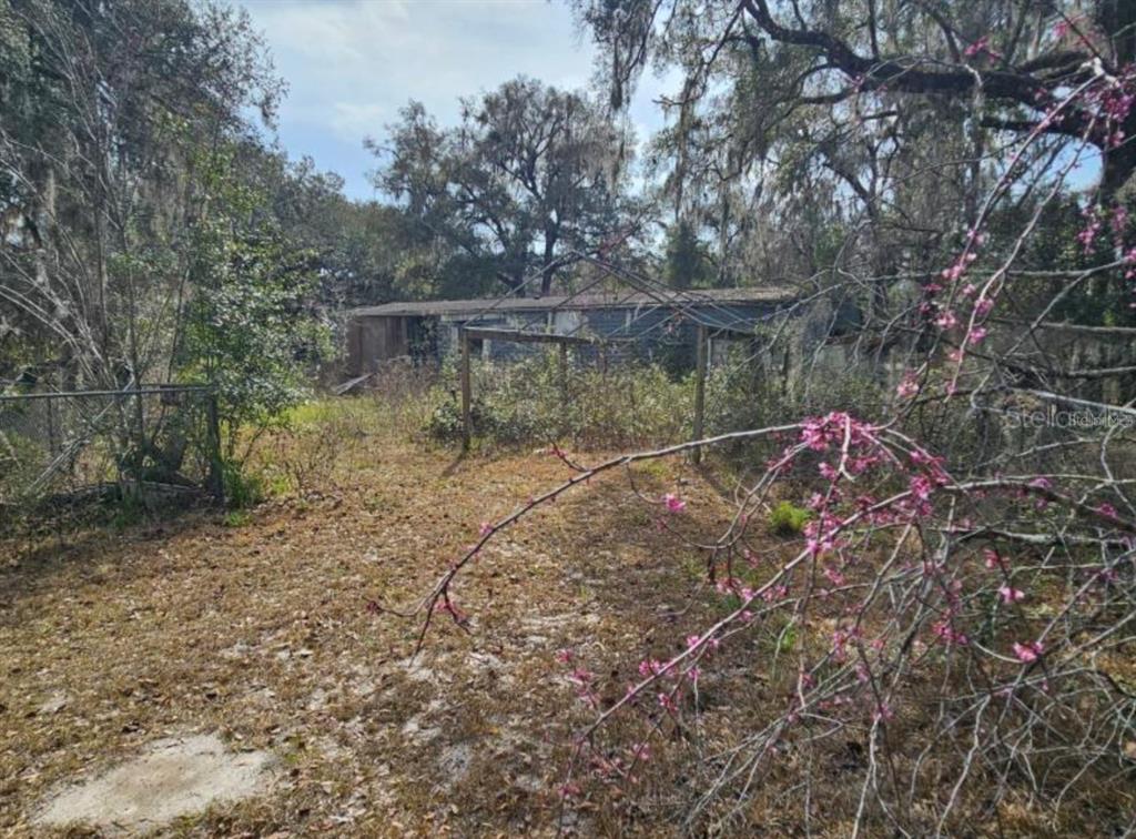 A dilapidated single-story structure sits overgrown with trees and brush in a wooded lot — 4210 NE 175TH STREET ROAD, CITRA, FL