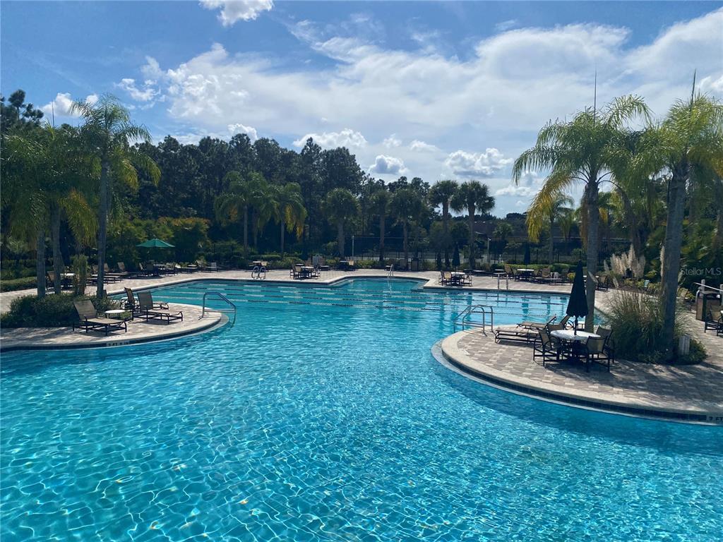 A large outdoor swimming pool surrounded by palm trees, lounge chairs, and patio tables — 8961 IRON OAK AVENUE, TAMPA, FL