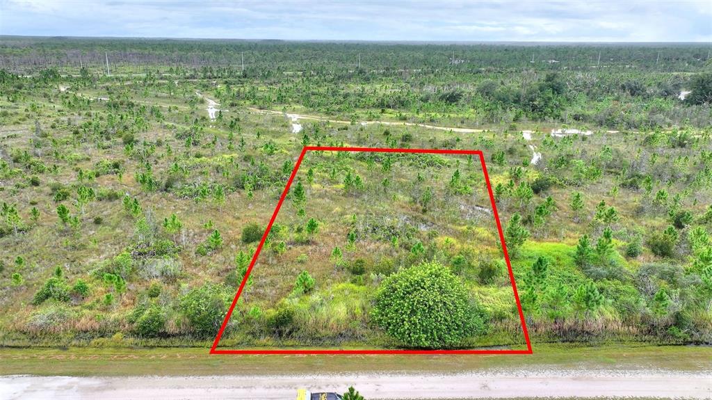 An aerial view shows a vacant, brush-covered rectangular lot outlined in red along a dirt road — ALTHEA DRIVE, INDIAN LAKE ESTATES, FL