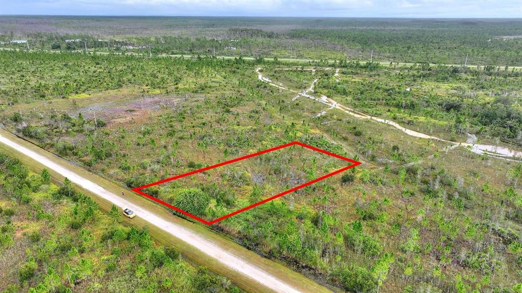 An aerial view shows a rectangular plot of land outlined in red beside a road — ALTHEA DRIVE, INDIAN LAKE ESTATES, FL