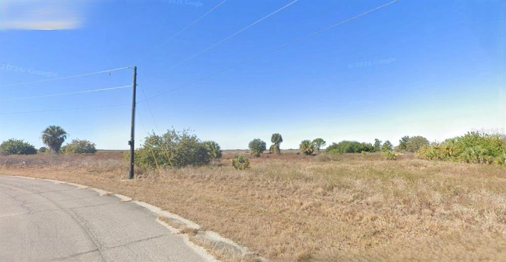 A paved road curves alongside a large, undeveloped grassy lot with scattered trees and shrubs — 769 SHARK LANE, LABELLE, FL