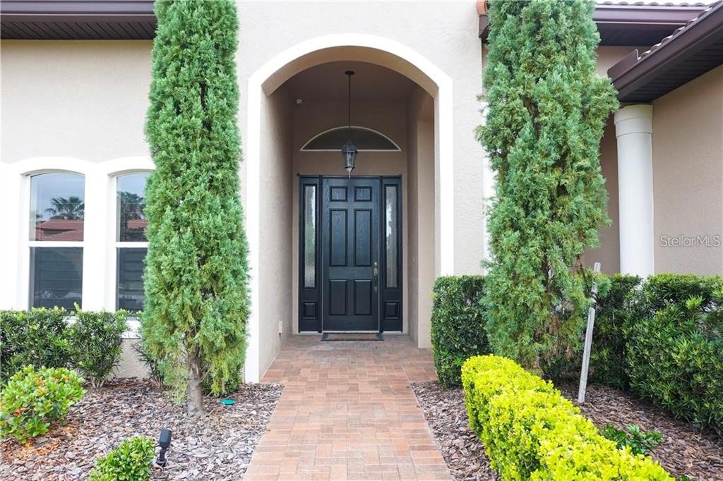 A brick walkway leads to a black front door framed by two tall evergreen trees — 10232 YONAOMI CIRCLE, CLERMONT, FL