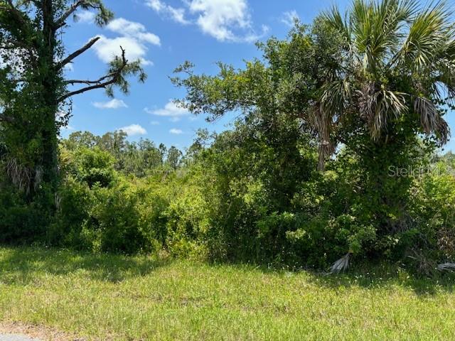 A grassy foreground leads to a dense area of trees and shrubs under a blue sky — 2357 REMAGEN STREET, PORT CHARLOTTE, FL