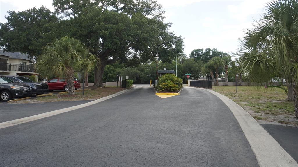 A paved driveway leads to a gated entrance with palm trees and large oak trees — 3312 RAMBLEWOOD PLACE, SARASOTA, FL