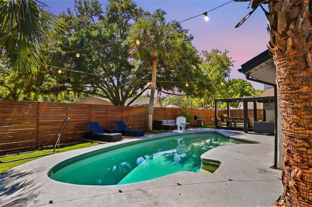 A backyard features a swimming pool, lounge chairs, a wooden fence, and string lights — 4606 BUCKEYE ROAD, TAMPA, FL