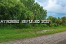 A dirt road runs alongside a grassy lot with dense trees and vegetation — 613 Grant Blvd, Lehigh Acres FL 33974, LEHIGH ACRES, FL
