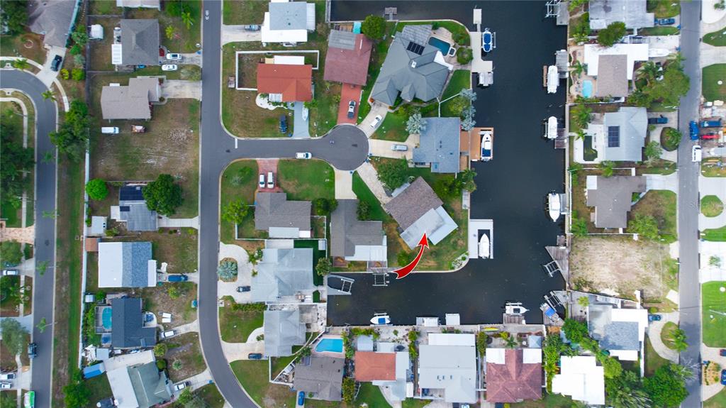 318 CIRCLE DRIVE, PALM HARBOR, FL — photo 3 of 30
