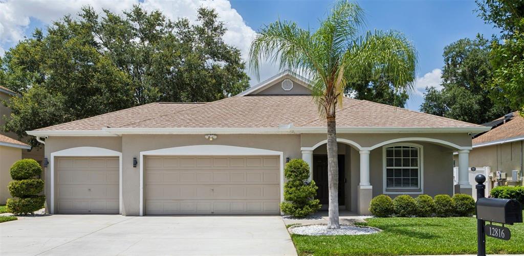 A single-story house with a beige stucco exterior, a two-car garage, and a palm tree — 12816 CATTAIL SHORE LANE, RIVERVIEW, FL