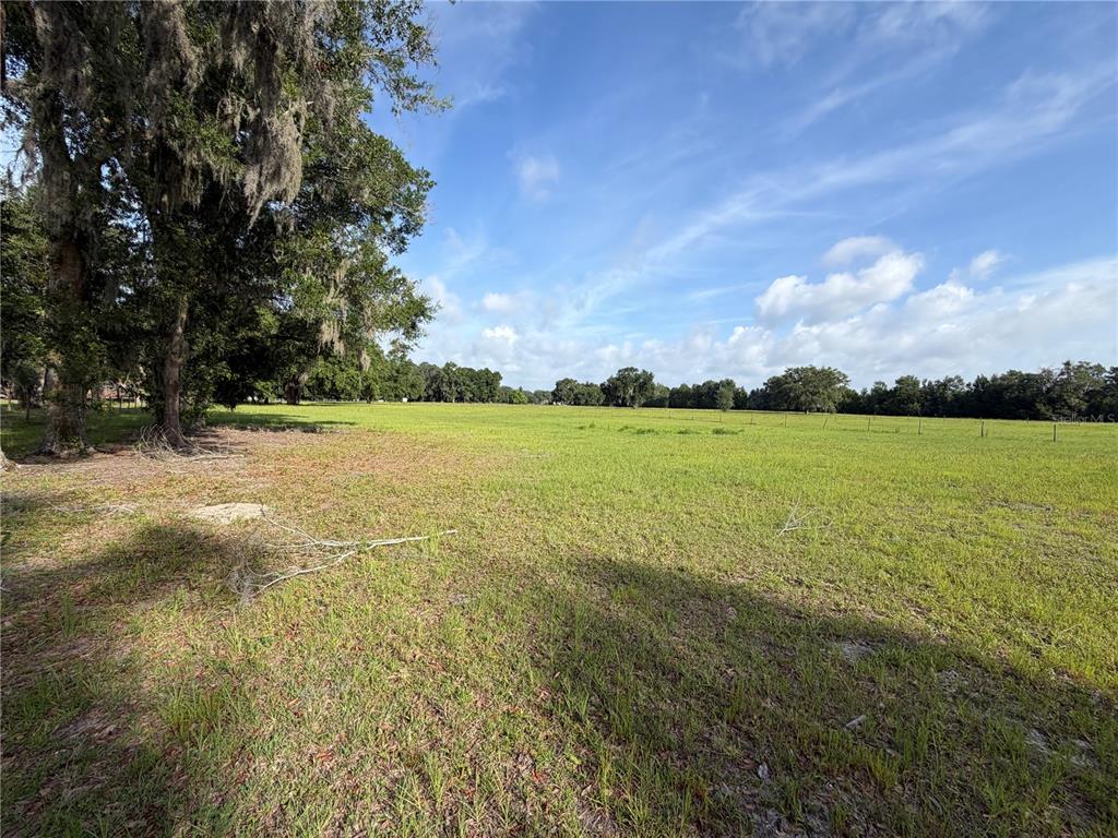 A large, grassy, open field is bordered by mature trees under a blue sky — PARCEL "B" CR 543, SUMTERVILLE, FL
