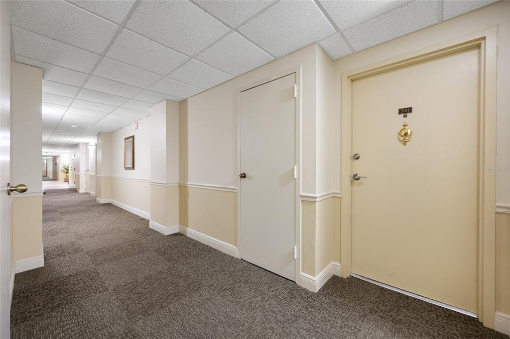 A carpeted hallway features beige walls, a drop ceiling, and a door labeled 501 — 1621 GULF BOULEVARD UNIT 501, CLEARWATER BEACH, FL