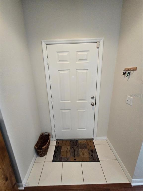 A white front door opens into a tiled entryway with a small rug and basket — 30119 WELLESLEY WAY, WESLEY CHAPEL, FL