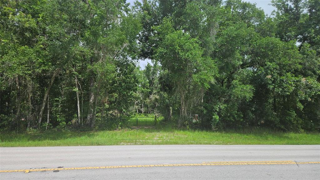 A metal gate stands at the entrance of a wooded lot along a paved road — 0 COBB ROAD, BROOKSVILLE, FL