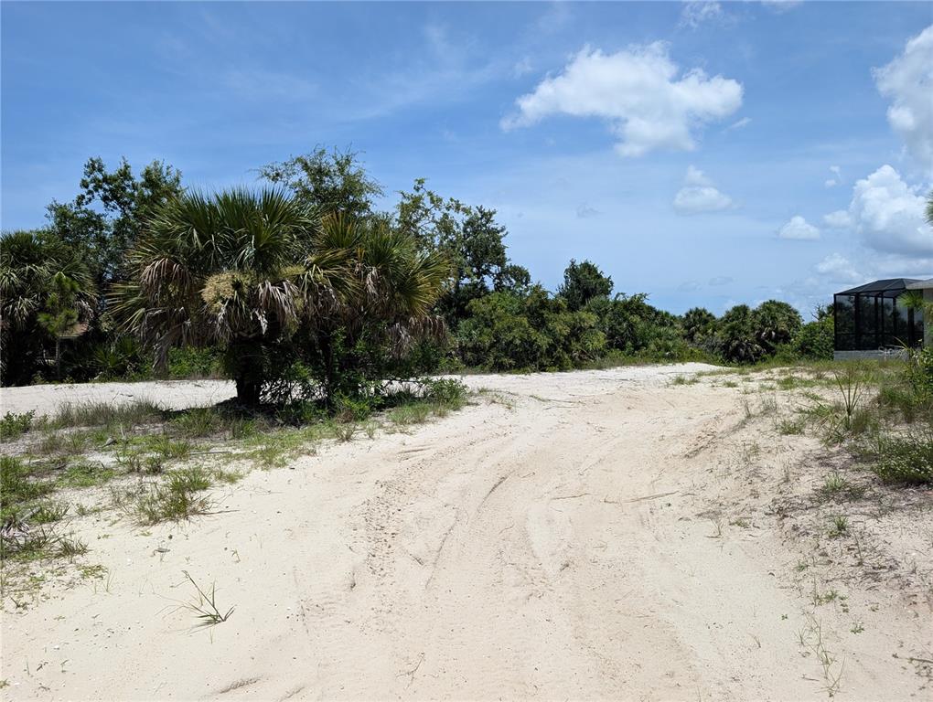 A sandy, undeveloped lot features a large palm tree and dense vegetation under a blue sky — 7157 SEA MIST DRIVE, PORT CHARLOTTE, FL