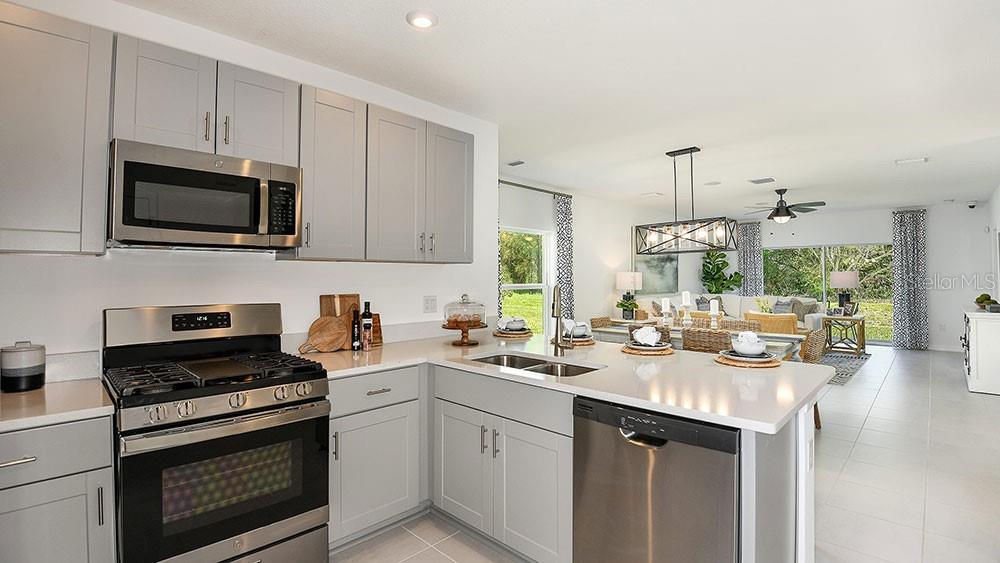 A modern kitchen with gray cabinets, stainless steel appliances, and an open-concept living area — 12219 TEMPEST LANE, HUDSON, FL