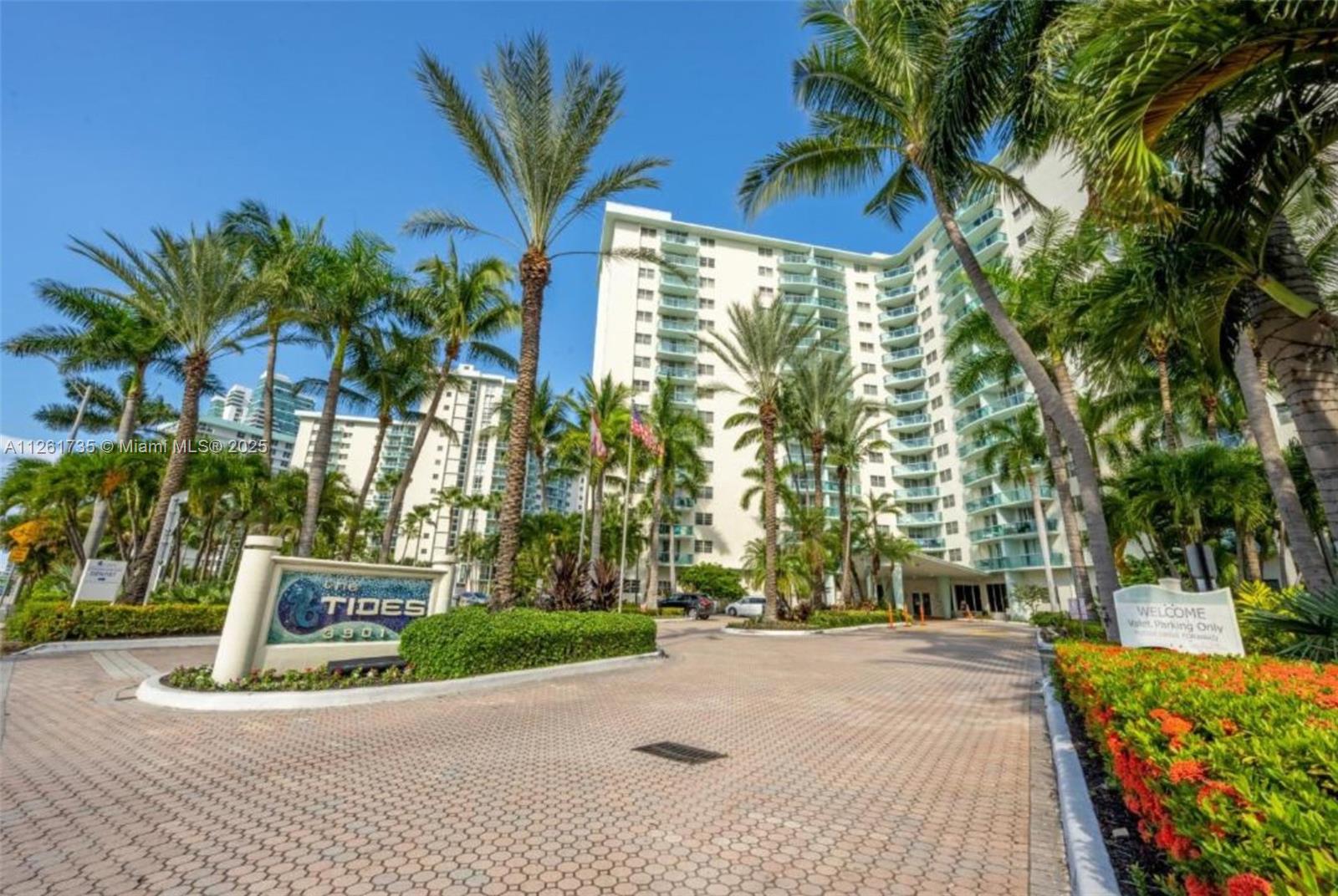 A paved driveway leads to the entrance of a tall residential building surrounded by palm trees — 3901 S Ocean Dr # 11C, Hollywood FL 33019, HOLLYWOOD, FL