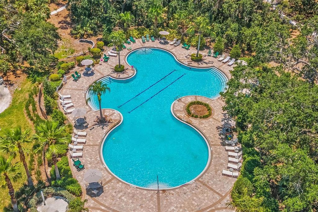 An aerial view of a large, irregularly shaped swimming pool surrounded by a paved deck — 10945 HIGH NOON TRAIL, PARRISH, FL