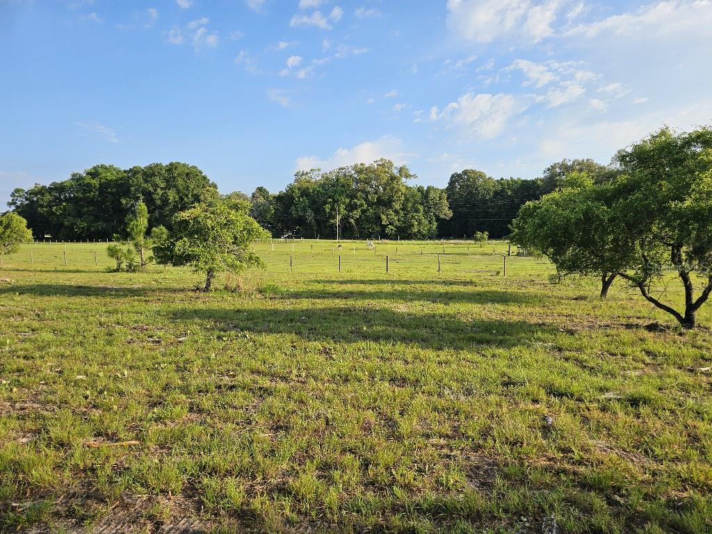 A grassy, fenced pasture features scattered trees under a blue sky with light clouds — 0 SW SPIRIT AVE AVENUE, FORT WHITE, FL