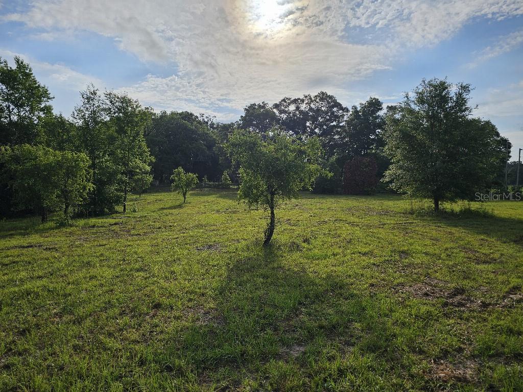 A grassy, open field features several scattered trees under a bright, cloudy sky — 0 SW SPIRIT AVE AVENUE, FORT WHITE, FL