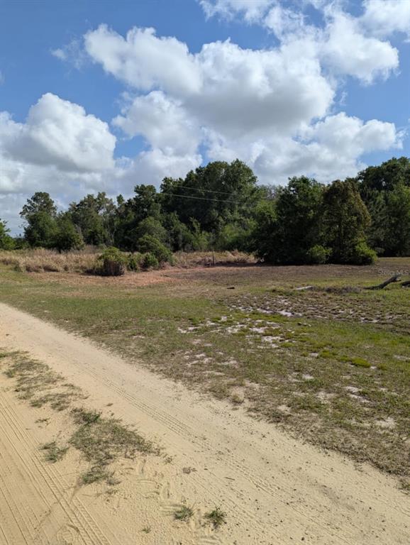 A dirt road leads to a flat, grassy, and partially wooded vacant lot under a cloudy sky — 3465 W ANSONIA ROAD, AVON PARK, FL