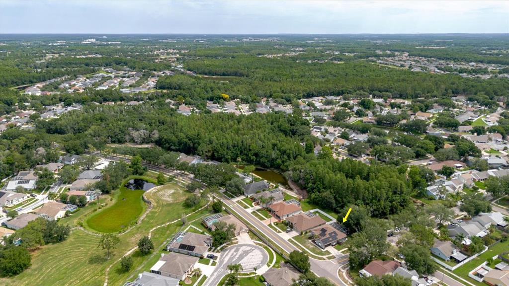 An aerial view shows a suburban neighborhood with houses, a pond, and dense surrounding woods — 9601 REGENTS PARK DRIVE, TAMPA, FL