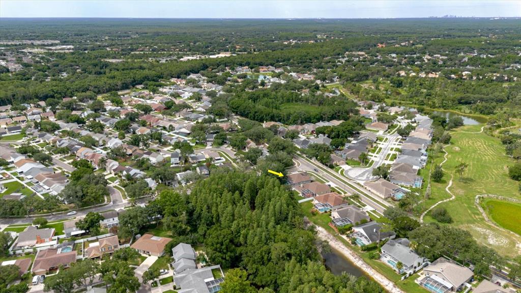 An aerial view shows a suburban neighborhood with houses, green spaces, and a small pond — 9601 REGENTS PARK DRIVE, TAMPA, FL
