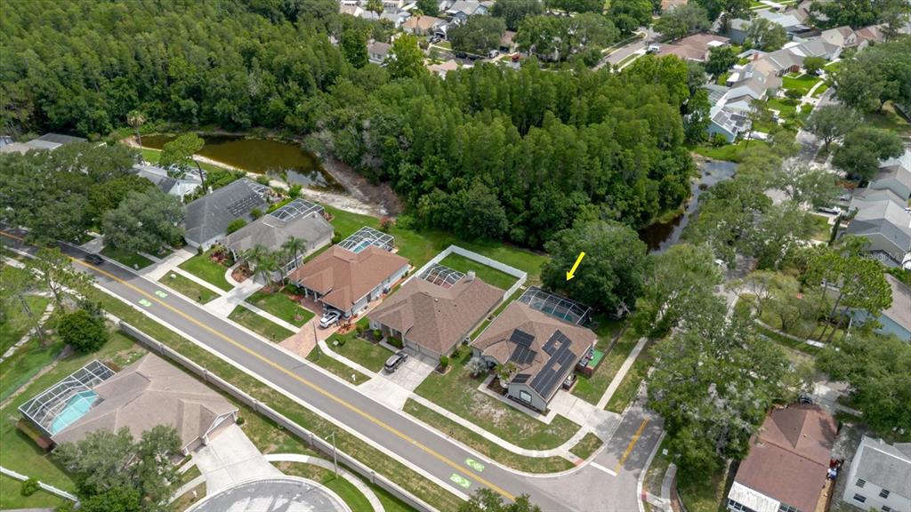 An aerial view shows a suburban neighborhood with houses, swimming pools, and a wooded area — 9601 REGENTS PARK DRIVE, TAMPA, FL