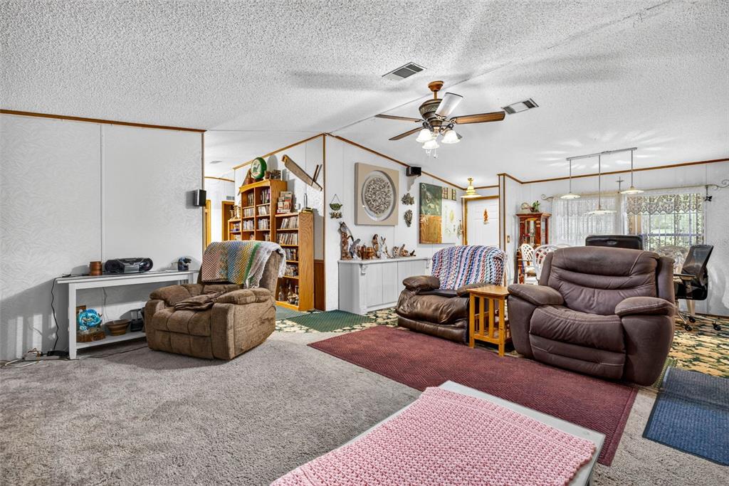 A living room features brown recliners, carpeted flooring, a ceiling fan, and a bookshelf — 16435 SWEETWATER ROAD, DADE CITY, FL