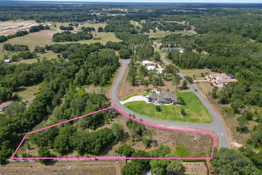 An aerial view shows a vacant, partially wooded lot outlined in pink next to a house — 000 DARLINGTON AVENUE, LADY LAKE, FL