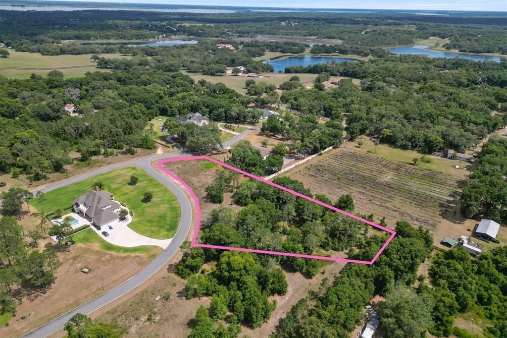 An aerial view shows a vacant, wooded residential lot outlined in pink next to a house — 000 DARLINGTON AVENUE, LADY LAKE, FL