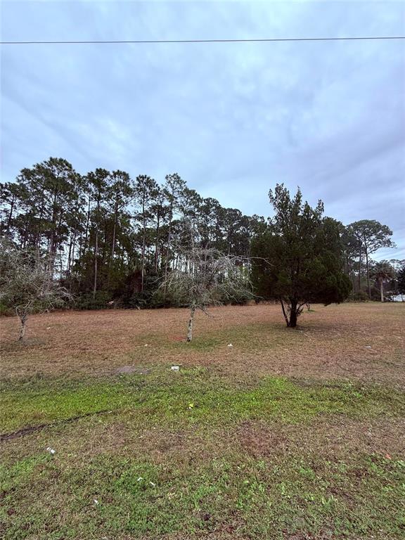 245 ULLIAN TRAIL, PALM COAST, FL — photo 2 of 3