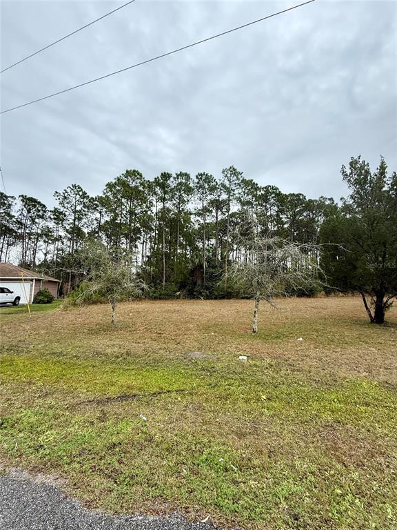 245 ULLIAN TRAIL, PALM COAST, FL — photo 3 of 3