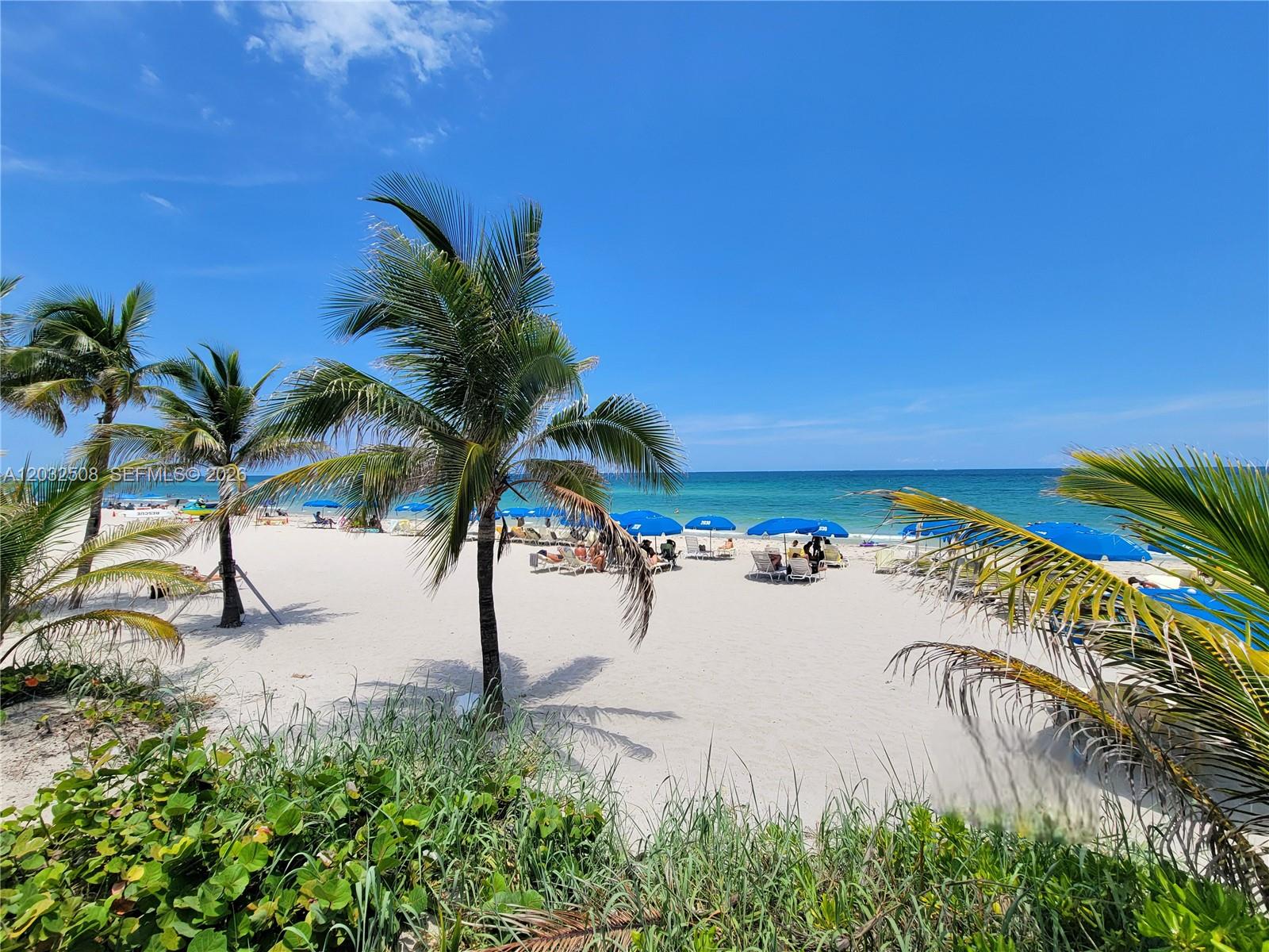 A sandy beach features palm trees, blue umbrellas, and lounge chairs under a clear sky — 2030 S Ocean Dr # 1405, Hallandale Beach FL 33009, HALLANDALE BEACH, FL