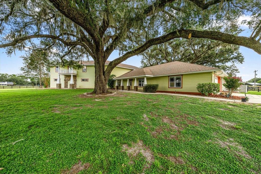 A large, light green house with a sprawling oak tree in the front yard — 5065 NW 150TH AVENUE, MORRISTON, FL